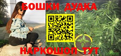 spice Гусев