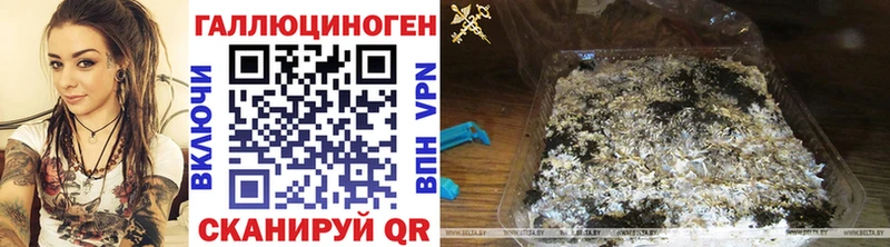 MEGA ТОР  Лесозаводск  Галлюциногенные грибы Psilocybine cubensis 