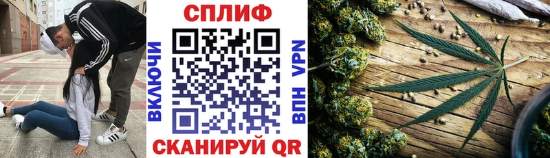 Марихуана планчик  купить  сайты  Лесозаводск 
